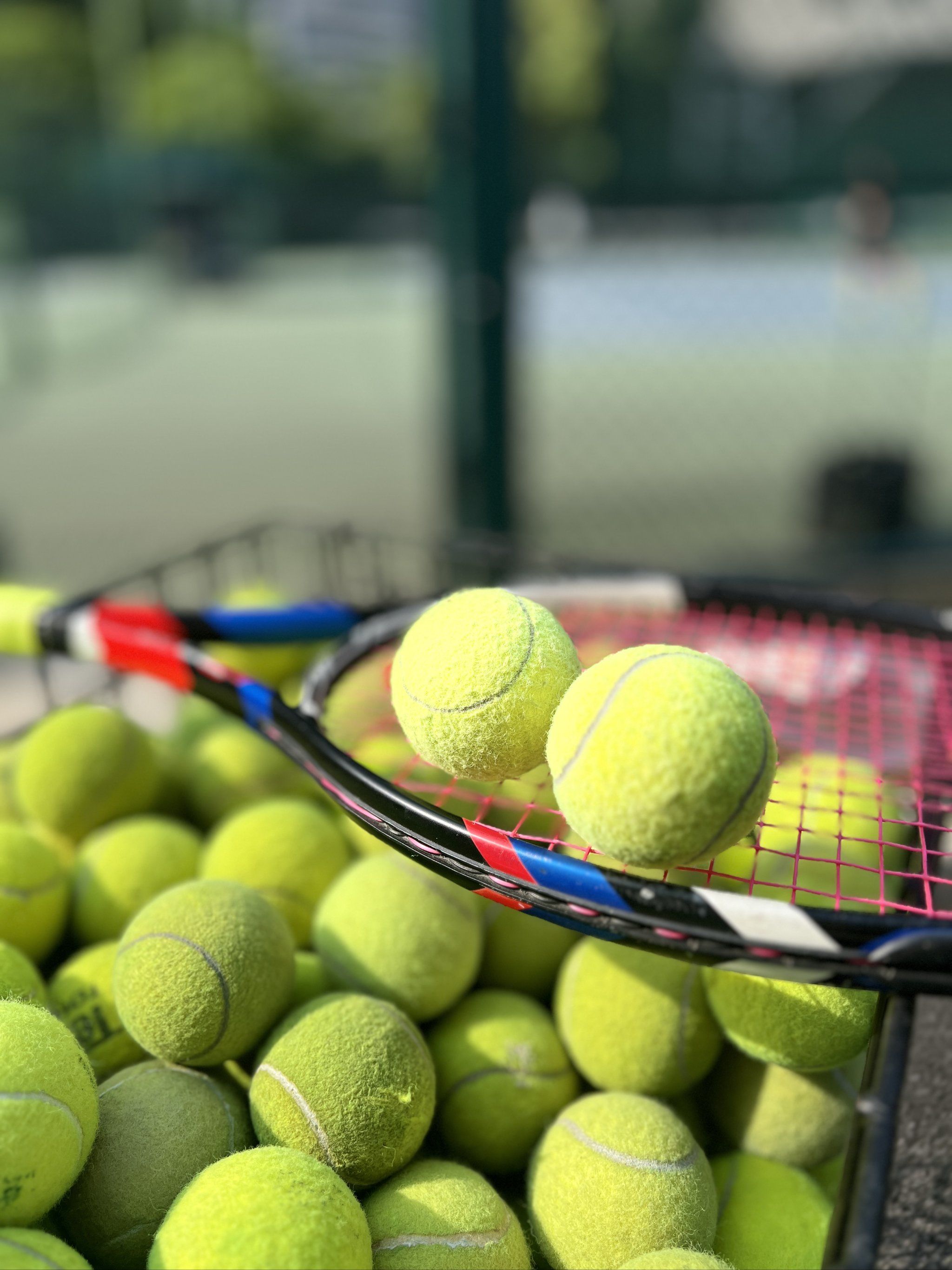 内收肌损伤 内收肌损伤